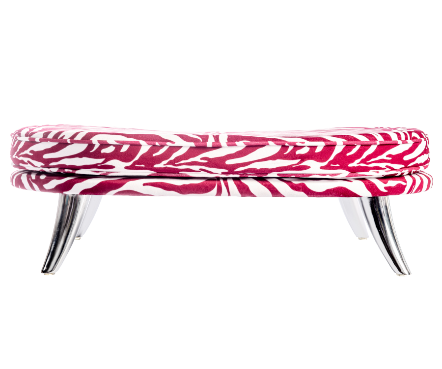 Nyx (Zèbre fuchsia, profil)
